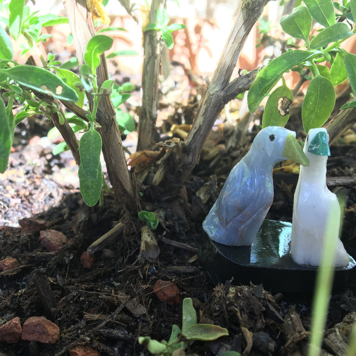 Boost Your Garden with Crystals