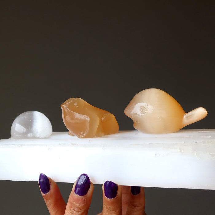 selenite stones on selenite slab