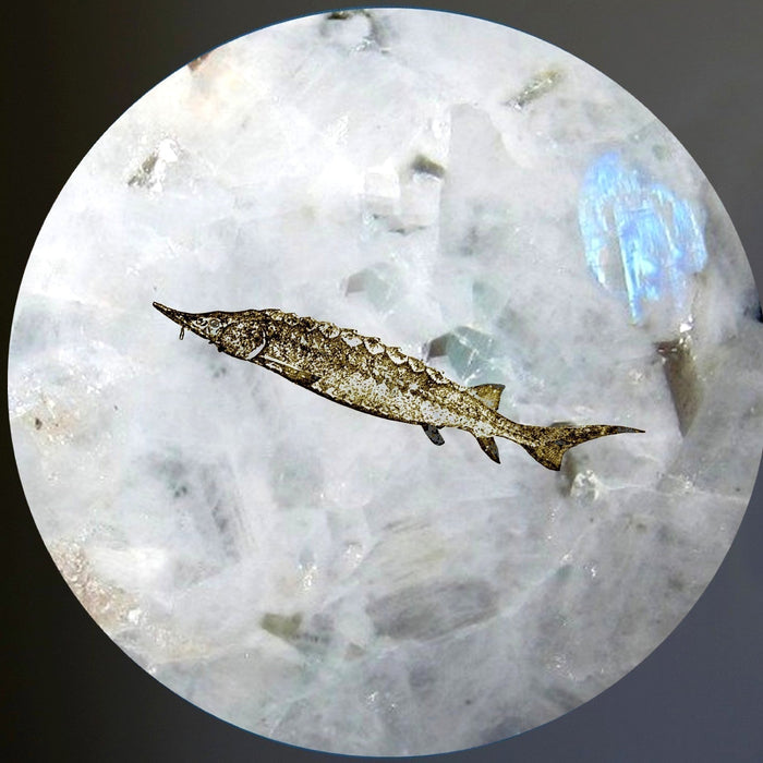 rainbow moonstone sphere with sturgeon