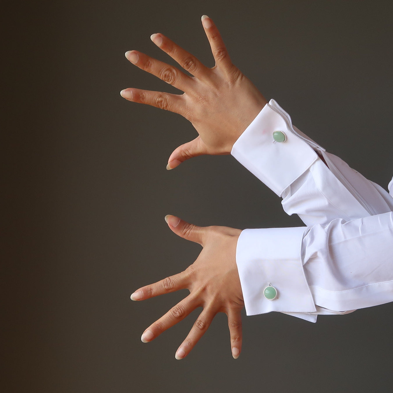 tigers eye cufflinks in succulent pot