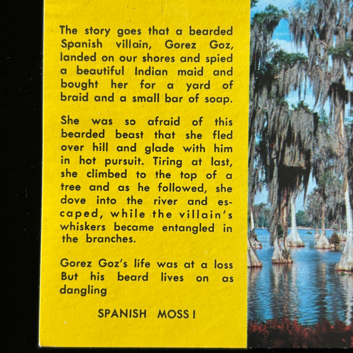 Vintage Postcard Florida Spanish Moss Shelling Lincoln Nebraska Social History