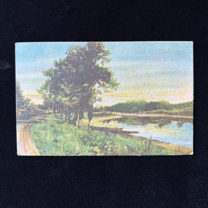 Antique Postcrd 1913 Lost Site Walk Sioux Falls SD Seney Island Big Sioux River