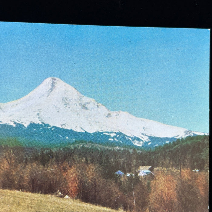 Vintage Postcard Lot Steam Train Oregon Mt Hood Portland Zoo Union Oil Travel