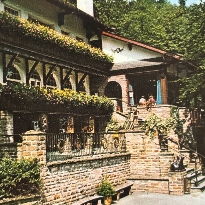 Vintage Postcard Lot Alpine Folk Art Architecture Cafe Restaurant Farm Germany