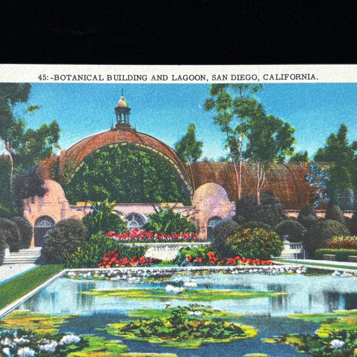 Vintage Postcard Lot Southern California Luxury Garden Lagoon Church San Diego