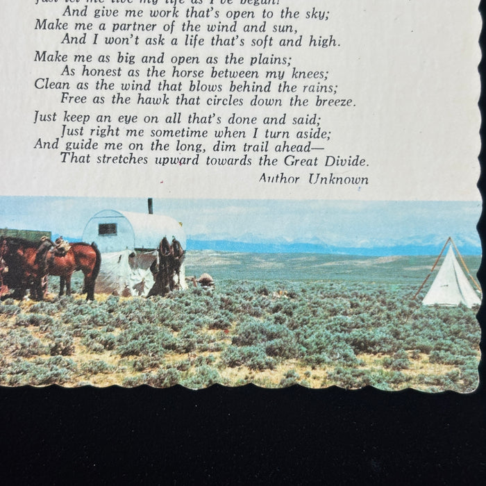Vintage Postcard Lot Religious Poetry Crucifix Fish Dogwood Cowboy Prayer Horses