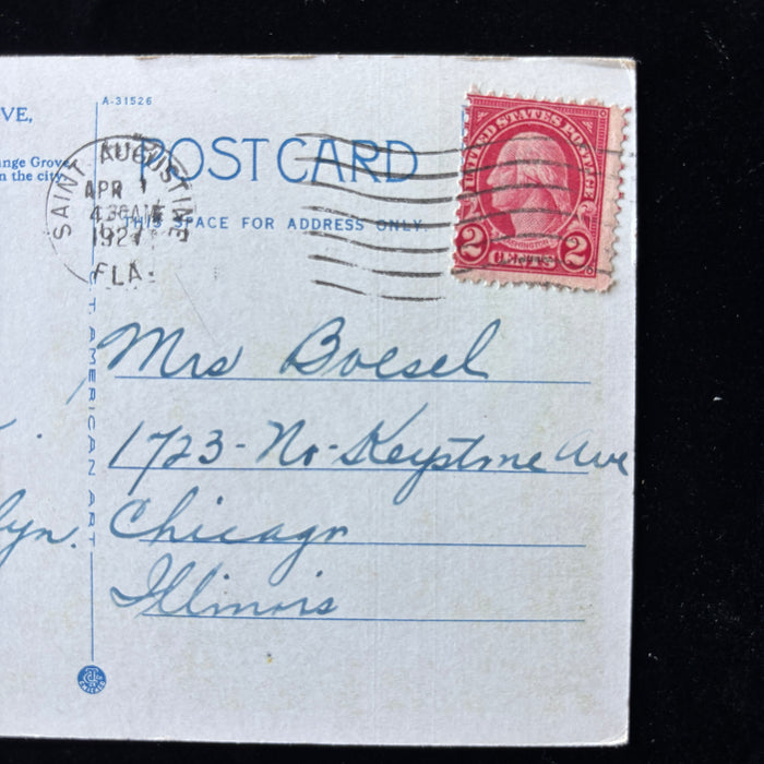 Antique Postcard 1927 Garnett Orange Grove Drive Moss Oaks St Augustine Florida