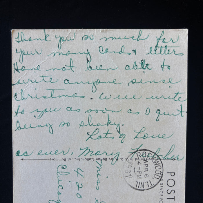 Vintage Postcard 1961 Shaky Greetings Canada Lily Flower Botanic Artist Rockwood