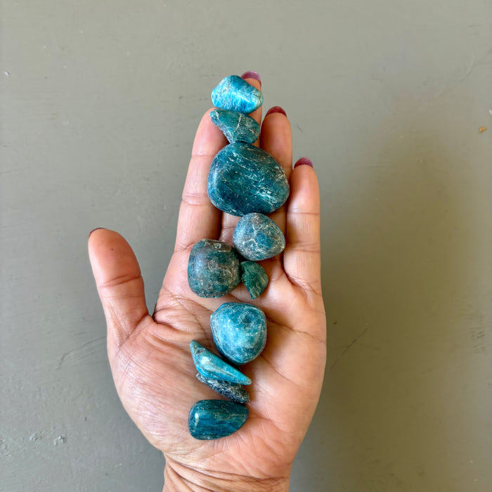 Crystal Tumbled Stone Bundle: Mandala Grid Wounded Warriors