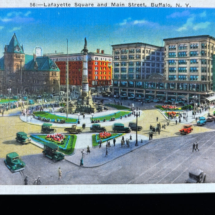 Vintage Postcard Lot Buffalo NY Bison Lafayette Square Rand St Joseph Cathedral