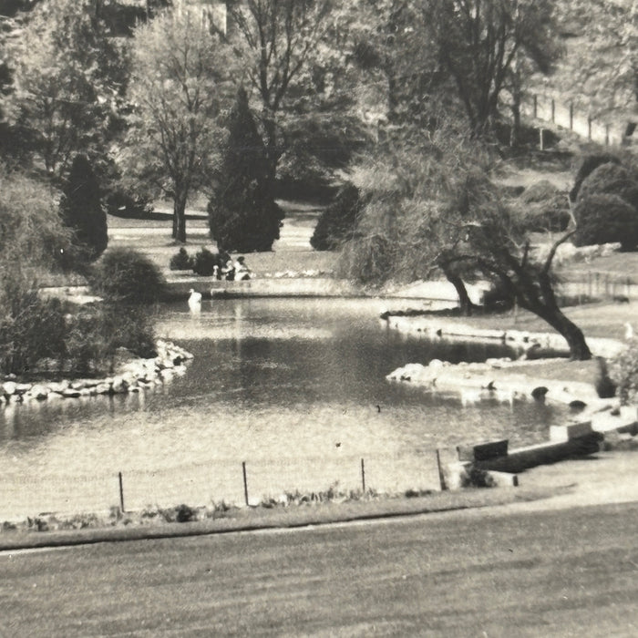 Vintage Postcard RPPC Pond Tacoma Washington Point Defiance Park Landscape Ducks