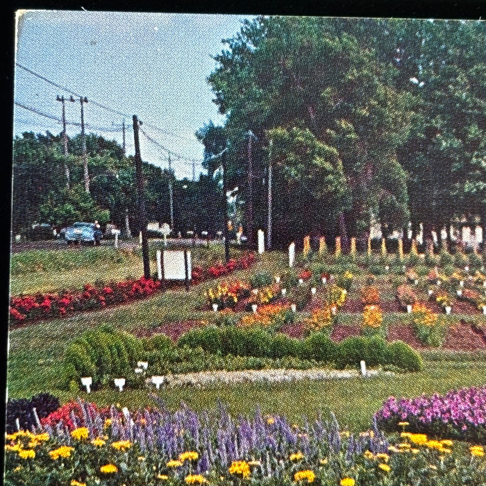 Vintage Postcard Lot Grotto Redemption West Bend Earl May Gardens Religious Iowa