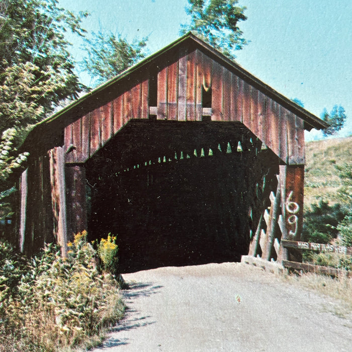 Vintage Postcard Lot Covered Bridges Vermont Americana Chiselville Martins Mill
