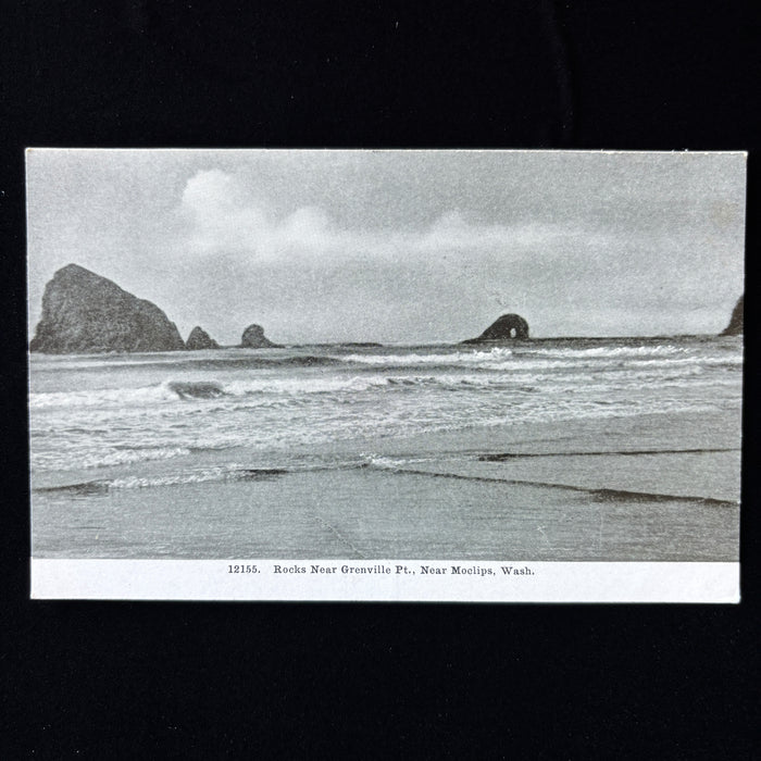 Vintage Postcard Lot Washington Nature Nisqually River La Grande Moclips Ocean
