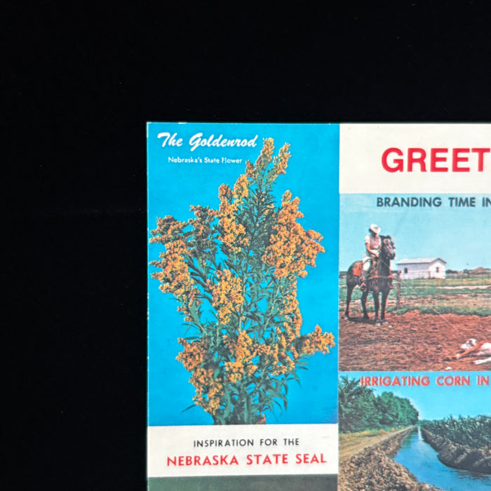 Vintage Postcard Lot Nebraska Greetings Lincoln Bellevue Church Scotts Bluff