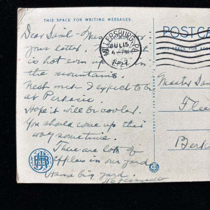 Vintage Postcard 1927 "Lots of Apples" Harrisburg PA Riverside Night