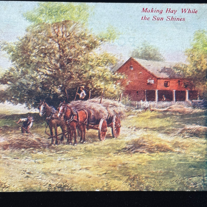 Vintage Postcard Lot Historic Horse Cavalry Trees Sam Houston Treaty Greenville
