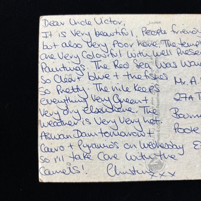 Vintage Postcard Travel Story Poor Friendly Camels Valley Queens Egypt Nefertari