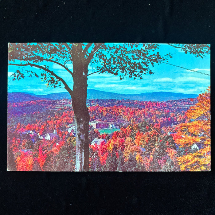 Vintage Postcard 1968 Fall Sunapee New Hampshire Storybook Village Good Fishing