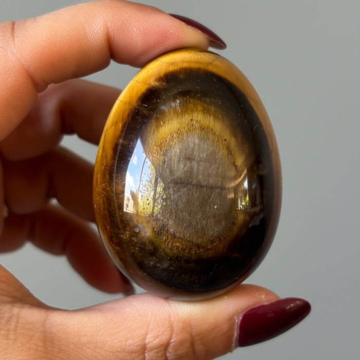 Tigers Eye Egg Rare Bullseye Golden Brown Crystal