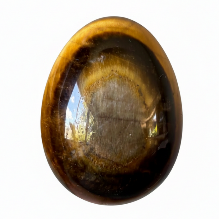 Tigers Eye Egg Rare Bullseye Golden Brown Crystal