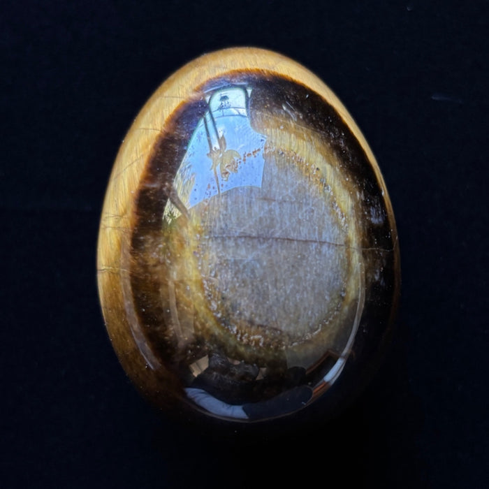 Tigers Eye Egg Rare Bullseye Golden Brown Crystal