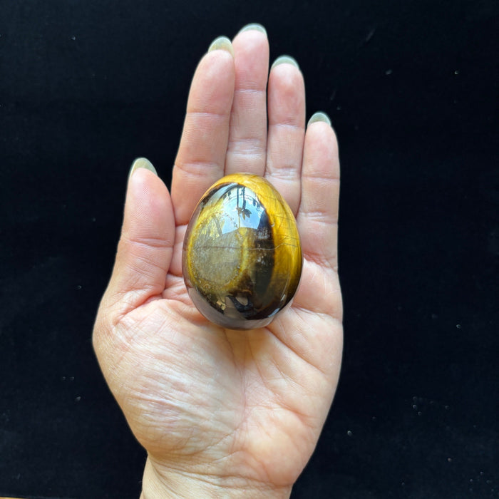 Tigers Eye Egg Rare Bullseye Golden Brown Crystal