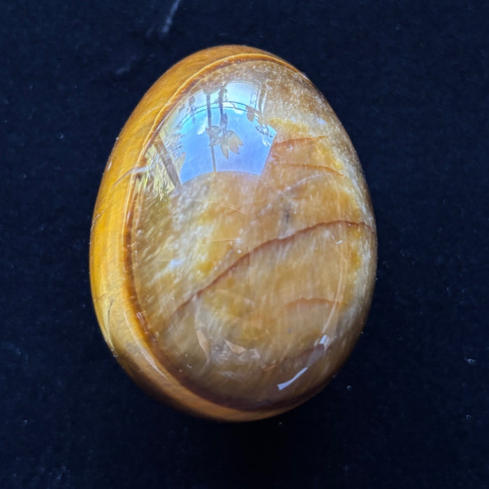 Tigers Eye Egg Rare Bullseye Golden Brown Crystal
