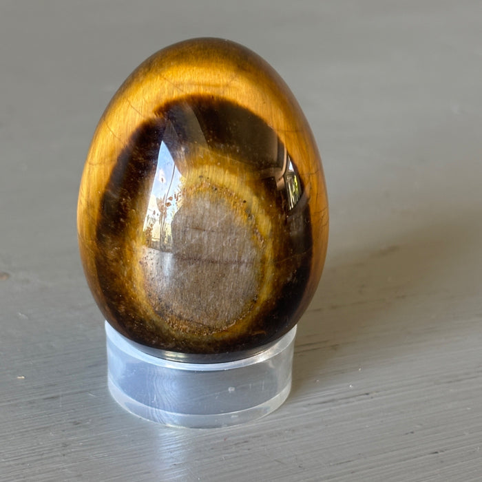 Tigers Eye Egg Rare Bullseye Golden Brown Crystal