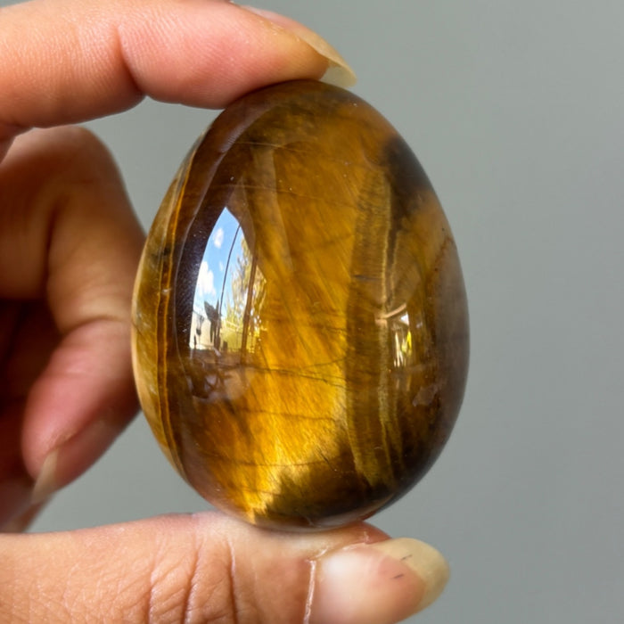 Tigers Eye Egg Rare Bullseye Golden Brown Crystal