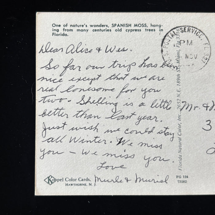 Vintage Postcard Florida Spanish Moss Shelling Lincoln Nebraska Social History
