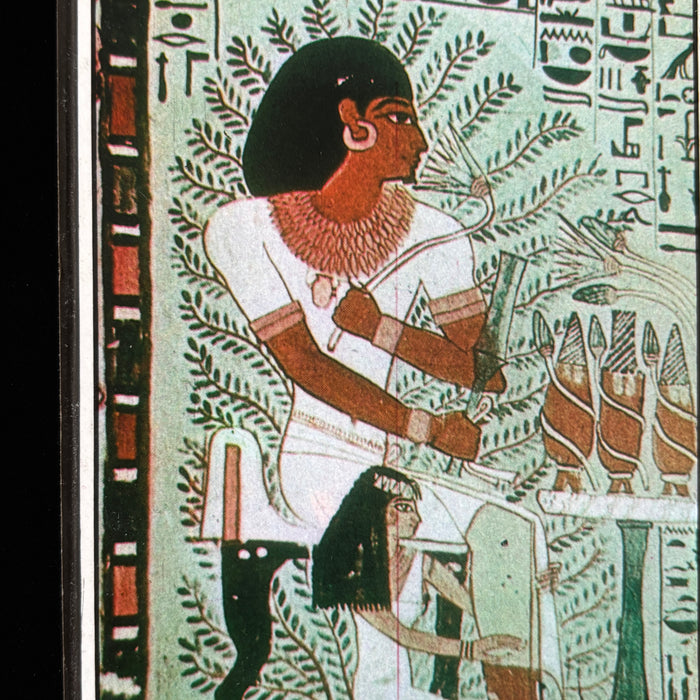 Vintage Postcard Lot Luxor Egypt Tombs Nobles Vineyards Sennefer Bronze Age Art