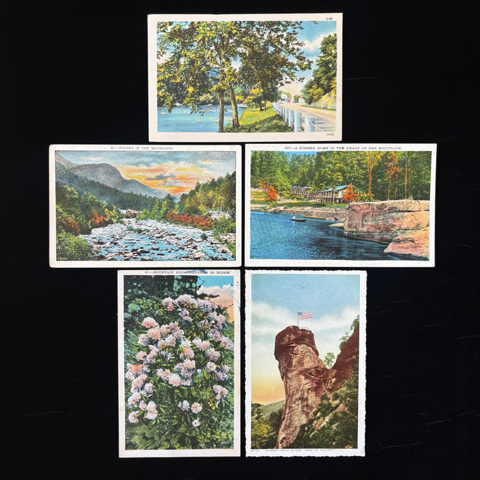 Vintage Postcard Lot Canoe Blue Ridge Mountain Chimney Rock Lake Lure Rivers