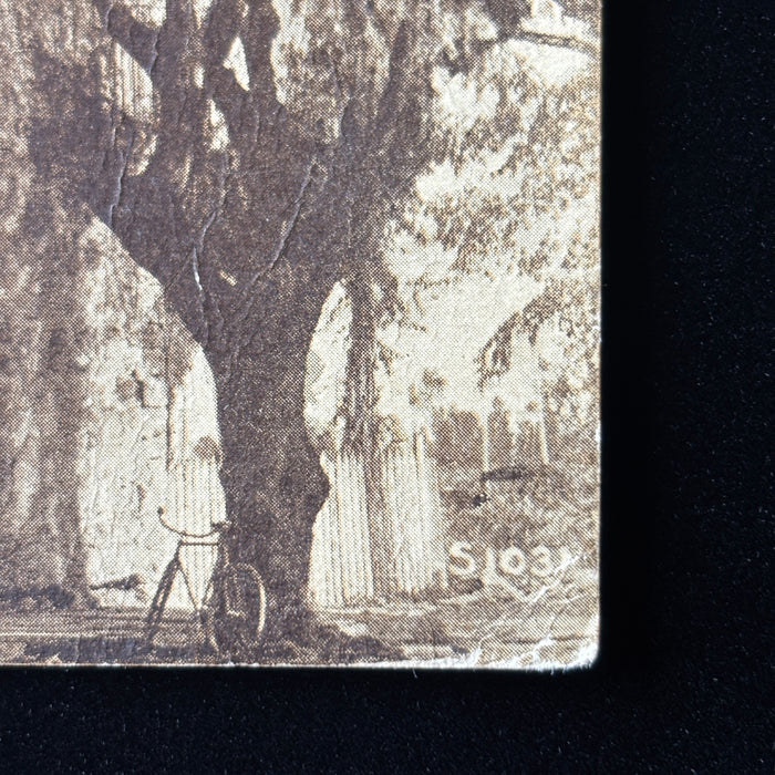 Antique Postcard 1910 Death Card San Gabriel Mission California Bicycle Under Tree