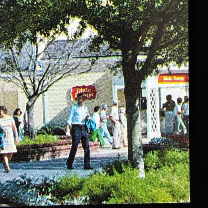 Vintage Postcard Lot Southern Belles Lagoon Florida Cypress Gardens Gazebo Music