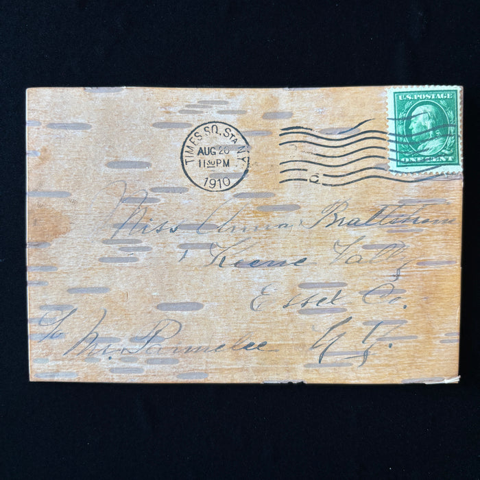 Antique Postcard 1910 Birch Bark Times Square New York Swedish History Catskills