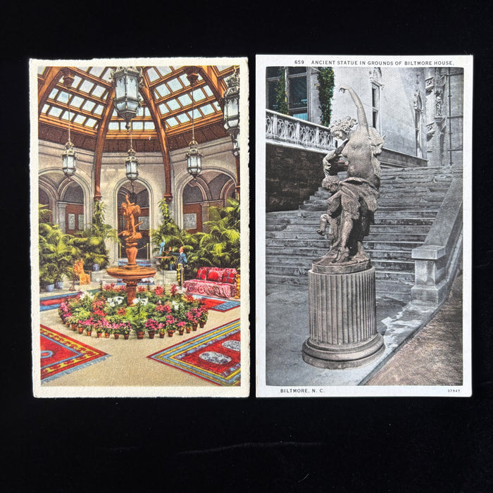 Vintage Postcard Lot Gilded Age North Carolina Biltmore House Palm Court Statue