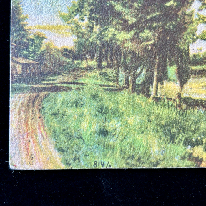 Antique Postcrd 1913 Lost Site Walk Sioux Falls SD Seney Island Big Sioux River