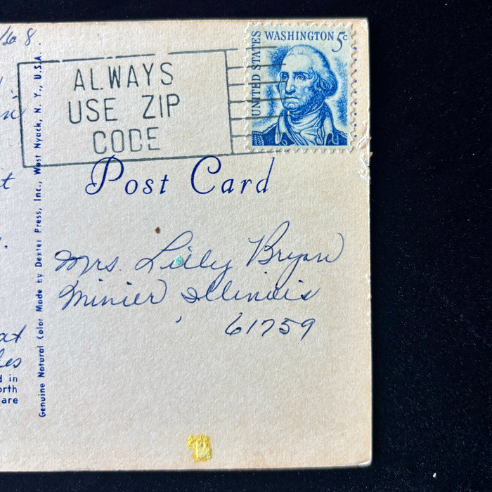 Vintage Postcard 1968 Sea Horse Poem Florida Sarasota Always Use Zip Code Stamp