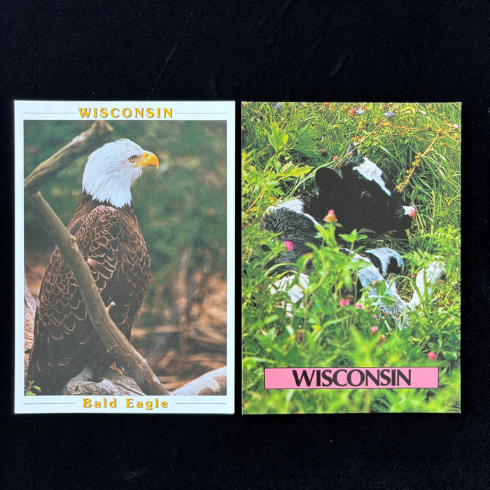 Vintage Postcard Lot Of 2 Wisconsin Nature Farm Life Bald Eagle Calf Baby Cow