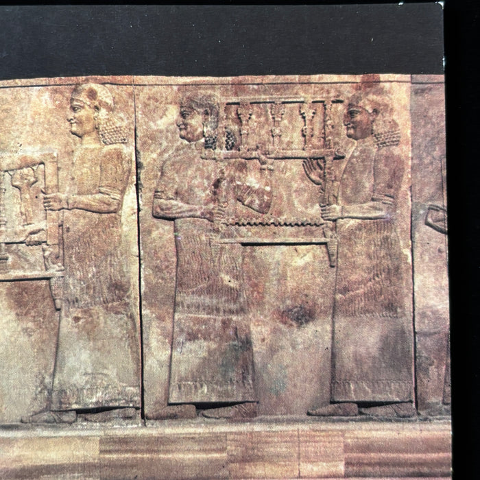 Vintage Postcard Lot Iraq Museum Prisoner Assyrian Sumerian Relief Antiquity Art