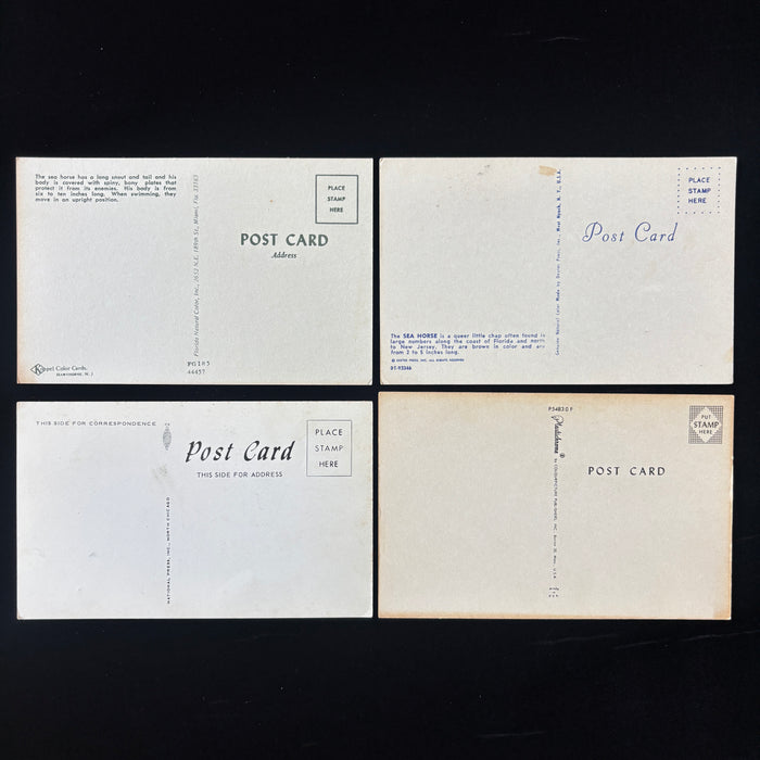 Vintage Postcard Lot Sea Horse Tale Ocean Gems Desert Reverie Antone Martin Poem