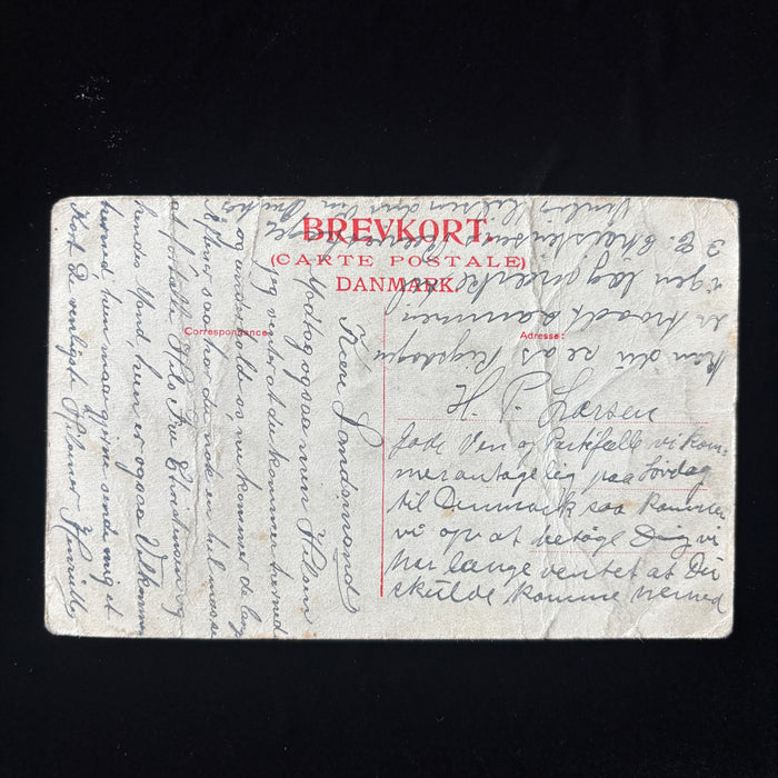 Antique Postcard 1909 Kolding Denmark Marielund Lake Rigsdagen Social History
