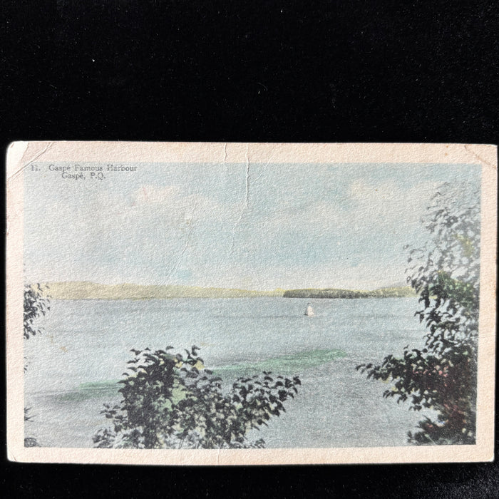 Antique Postcard 1920s "Wildest Dreams" Gaspe Harbour Canada