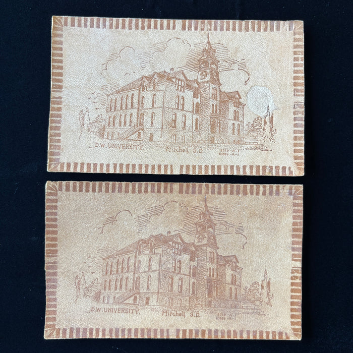 Antique Postcard 1900s Lot Leather DW University Michll South Dakota Brown Suede