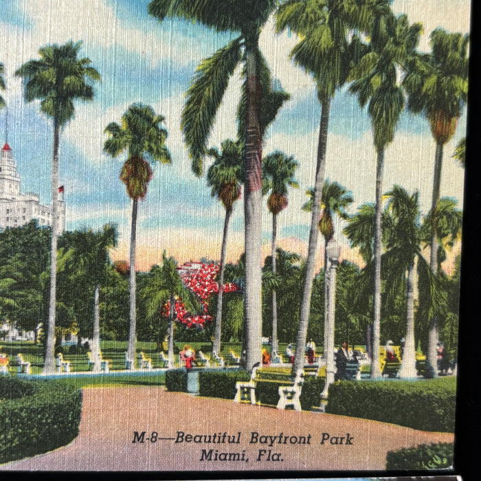Vintage Postcard Lot FL Tour Oranges Museum Bridge Post Office Miami Resort Cars