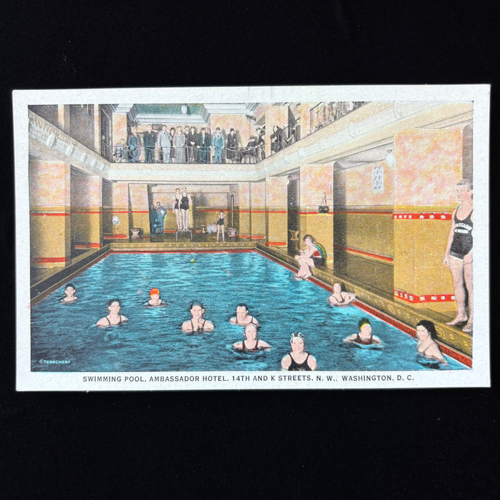 Vintage Postcard Swimming Pool Onlookers Bathing Washington DC Ambassador Hotel