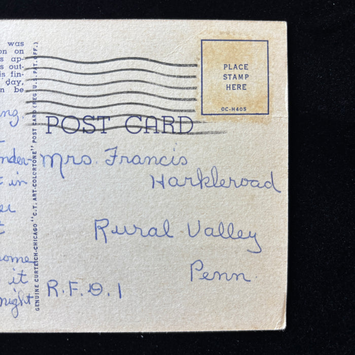 Vintage Postcard 1952 Frozen Flowers Veterans Administration Hospital Buffalo NY
