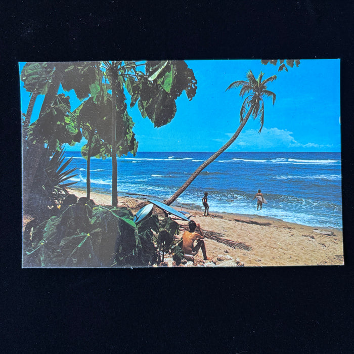 Vintage Postcard Surfing Puerto Rico Rincon Beach Palm Tree Surfboard Caribbean