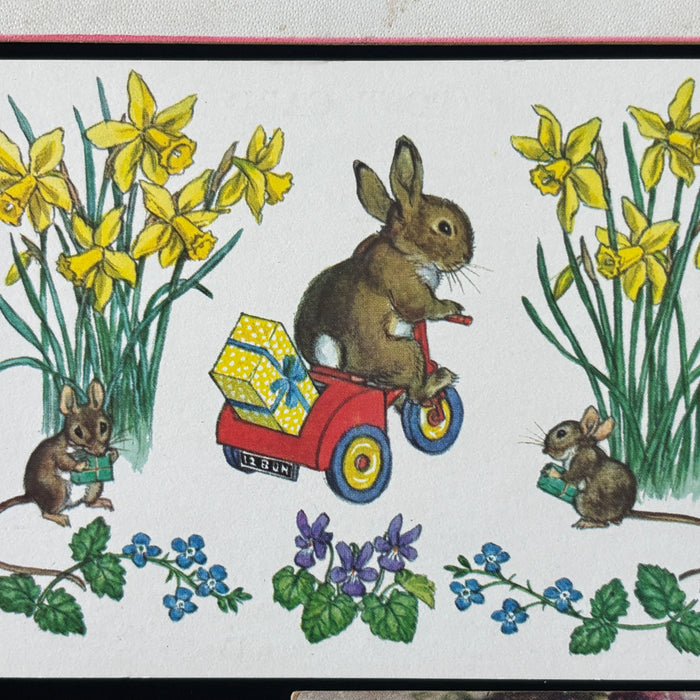 Vintage Postcard Lot Easter Bunny Flowers Winter Star Embossed Antique Greeting